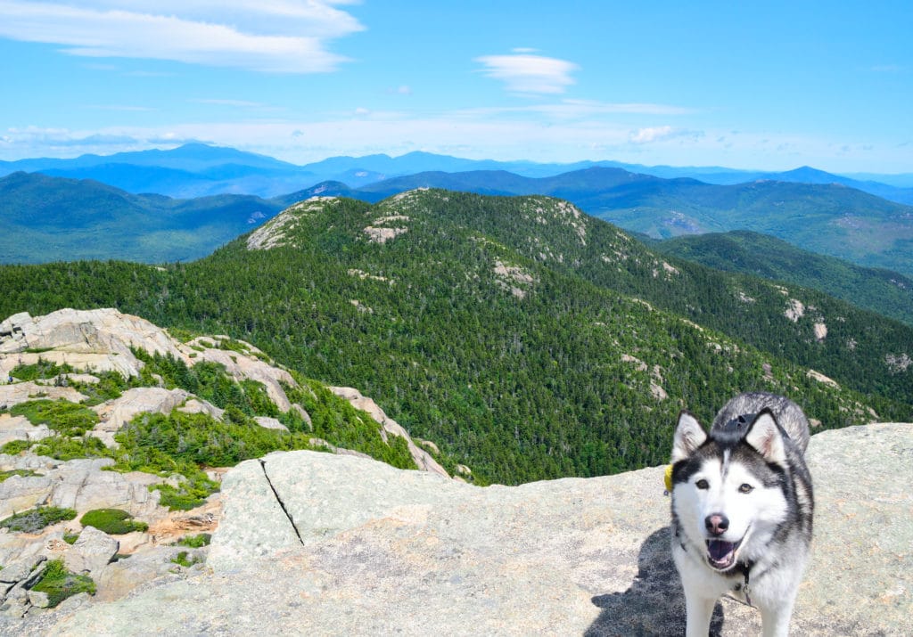 Mt Chocorua Hike Pictures