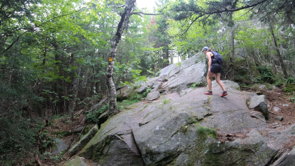 Mt Morgan & Mt Percival New Hampshire Hike Pictures