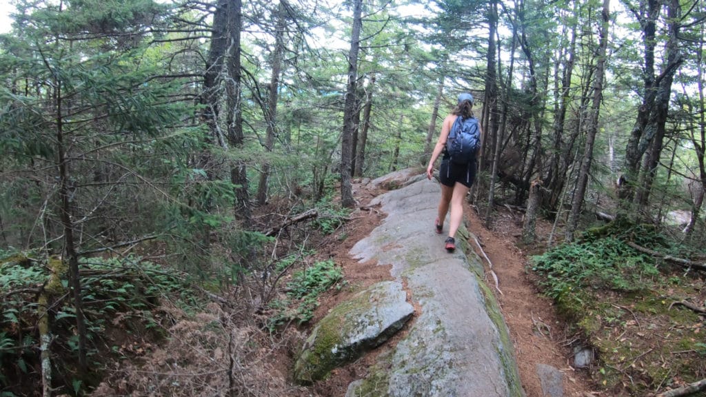 Mt Morgan & Mt Percival New Hampshire Hike Pictures