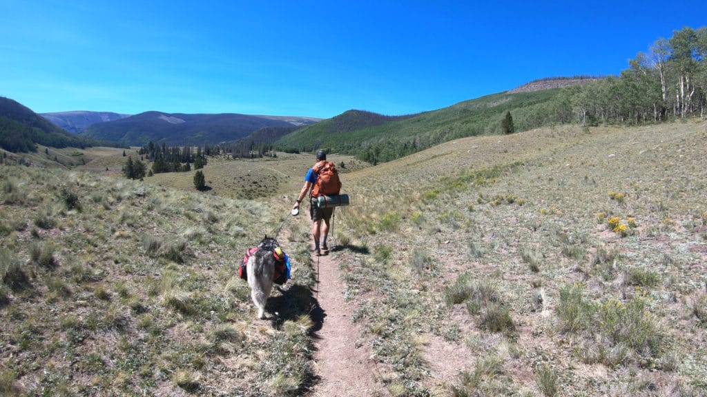 Colorado Trail Segment 19 Hike Pictures