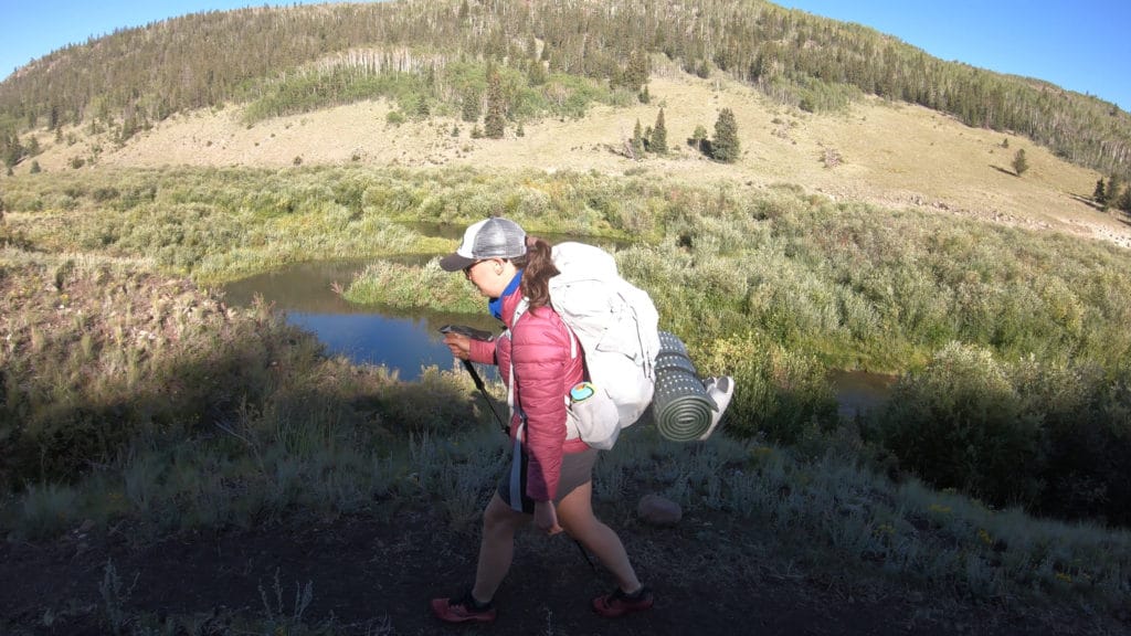Colorado Trail Segment 19 Hike Pictures