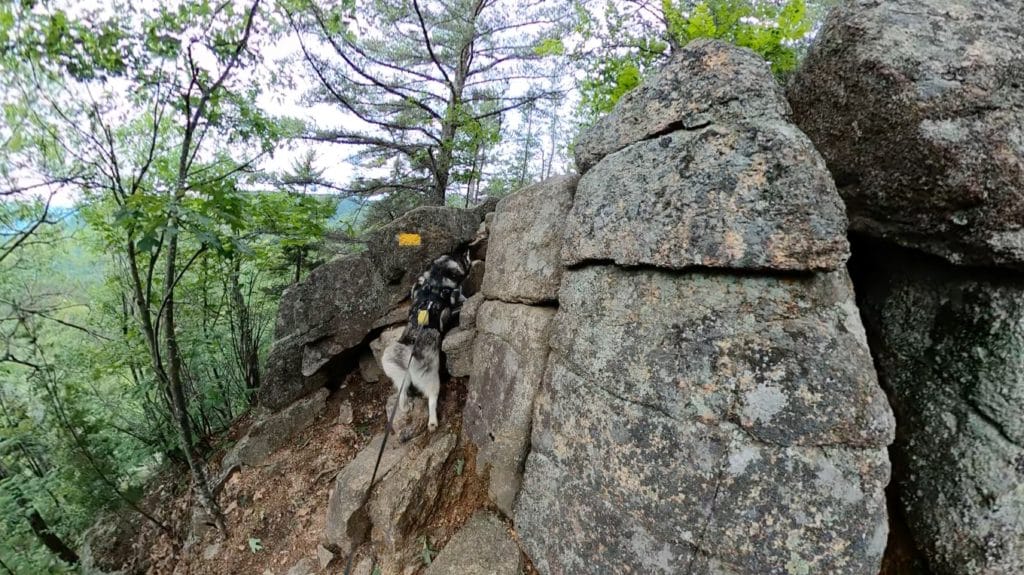 Mt Chocorua Hike Pictures