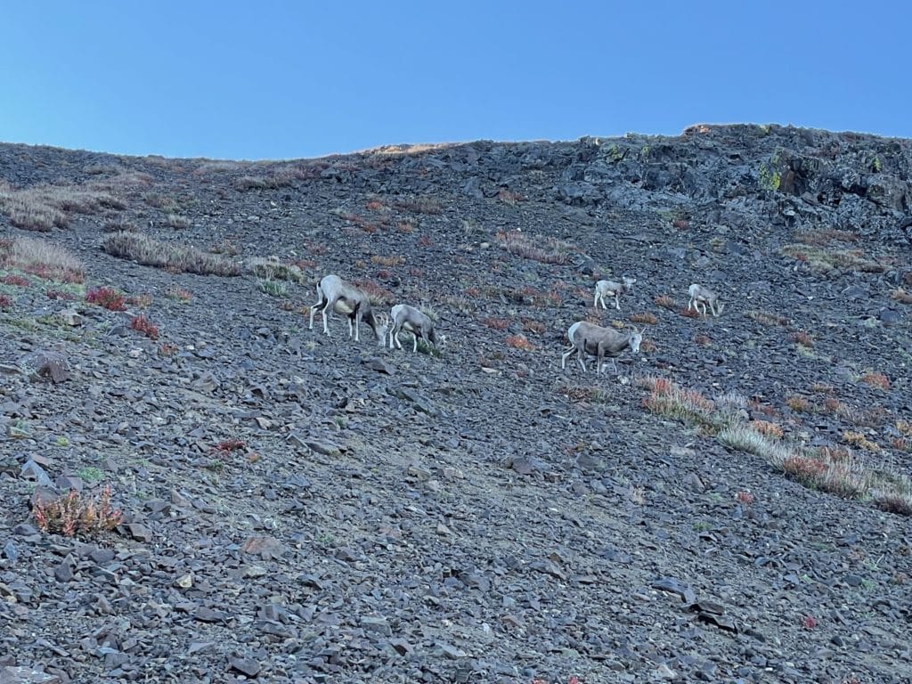 Wheeler Peak & Wheeler Cirque Hike Pictures