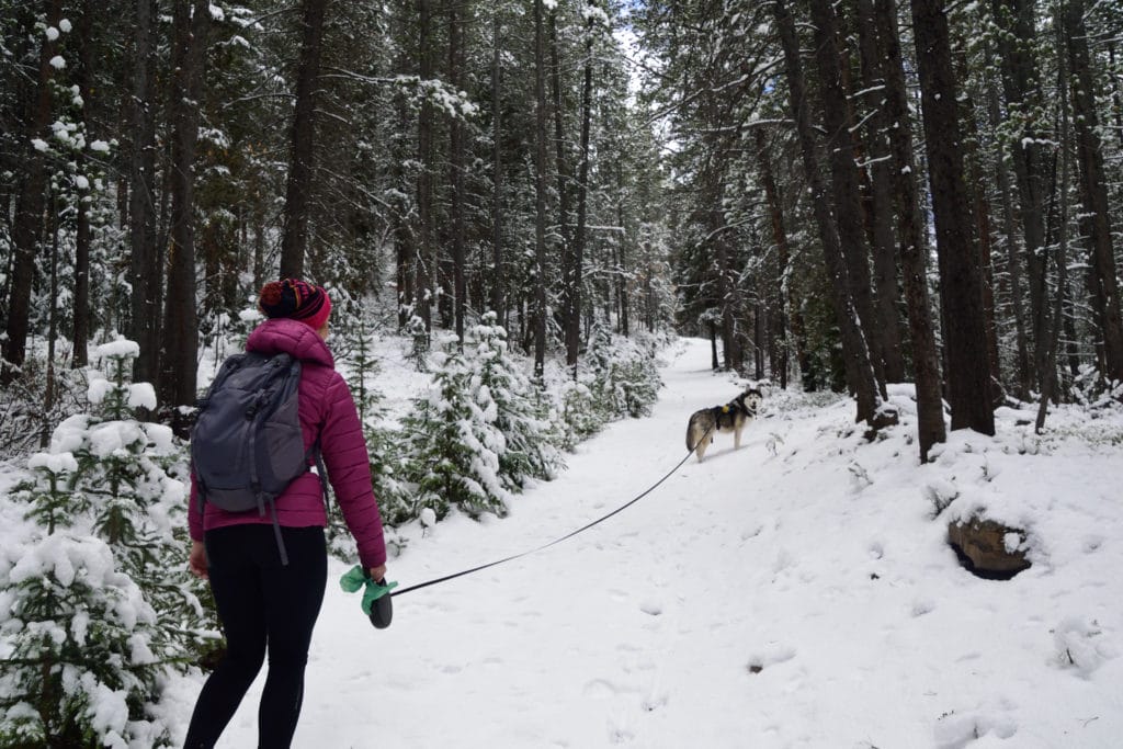 Green Lake Colorado Hike Pictures