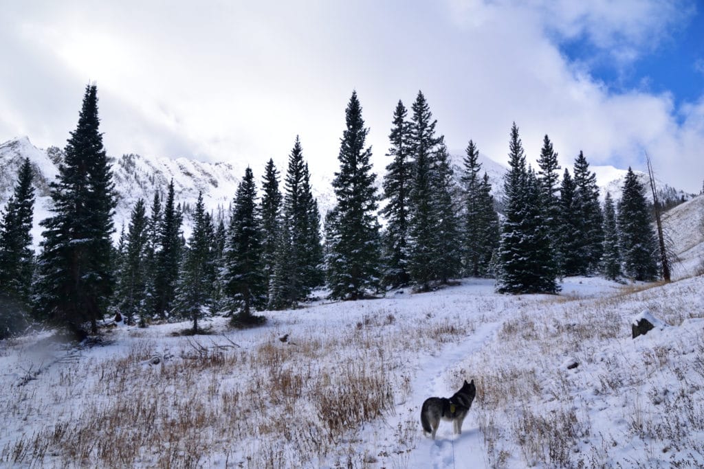 Green Lake Colorado Hike Pictures