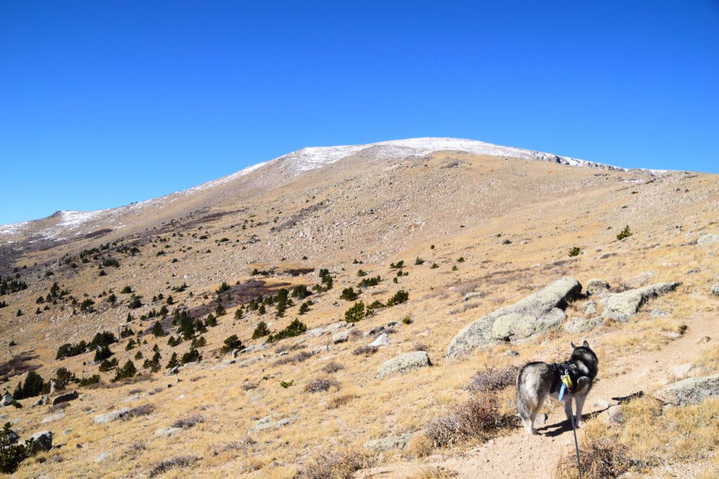Rosalie Peak Colorado 13er Hike Pictures