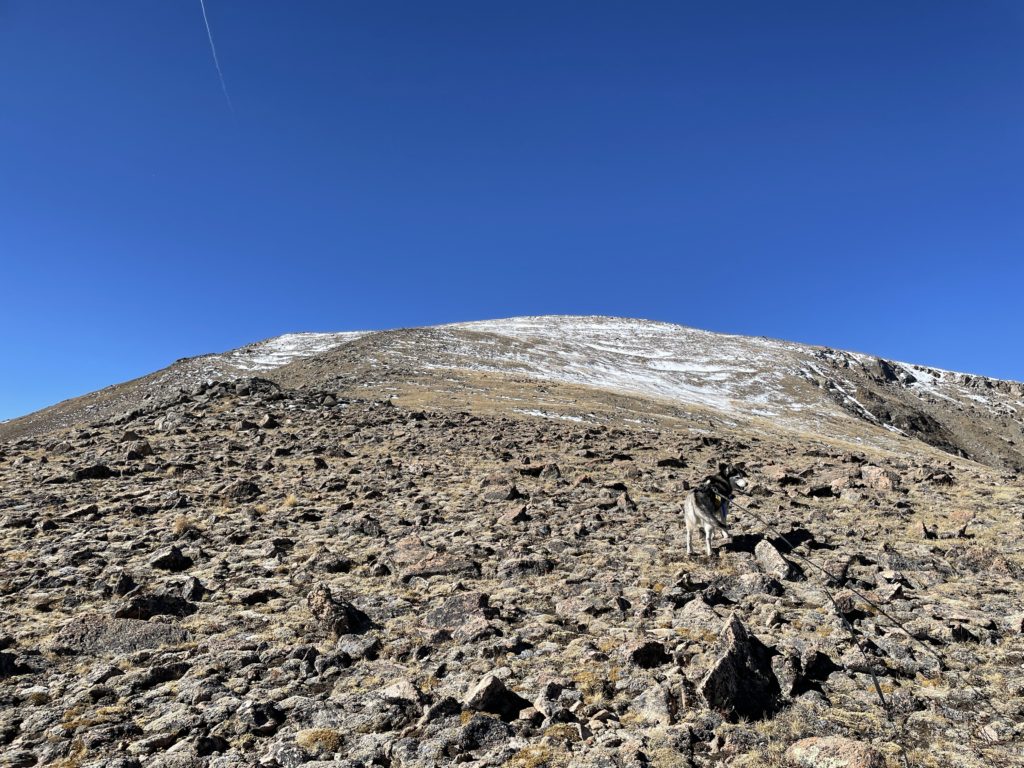 Rosalie Peak Colorado 13er Hike Pictures