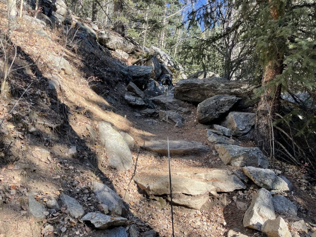 Rosalie Peak Colorado 13er Hike Pictures