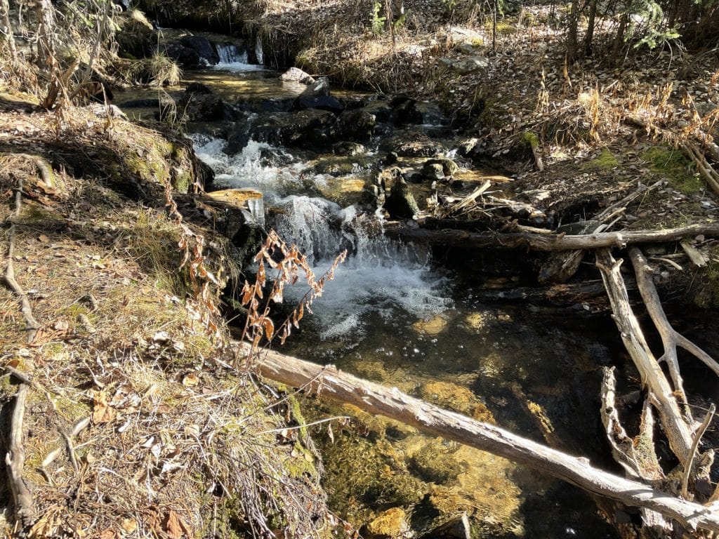 Rosalie Peak Colorado 13er Hike Pictures
