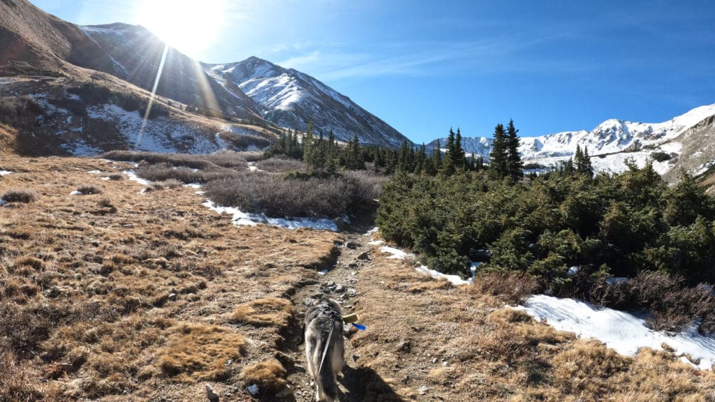 Mt Belford Colorado 14er Hike Pictures