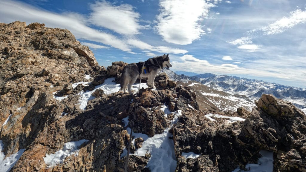 Mt Belford Colorado 14er Hike Pictures