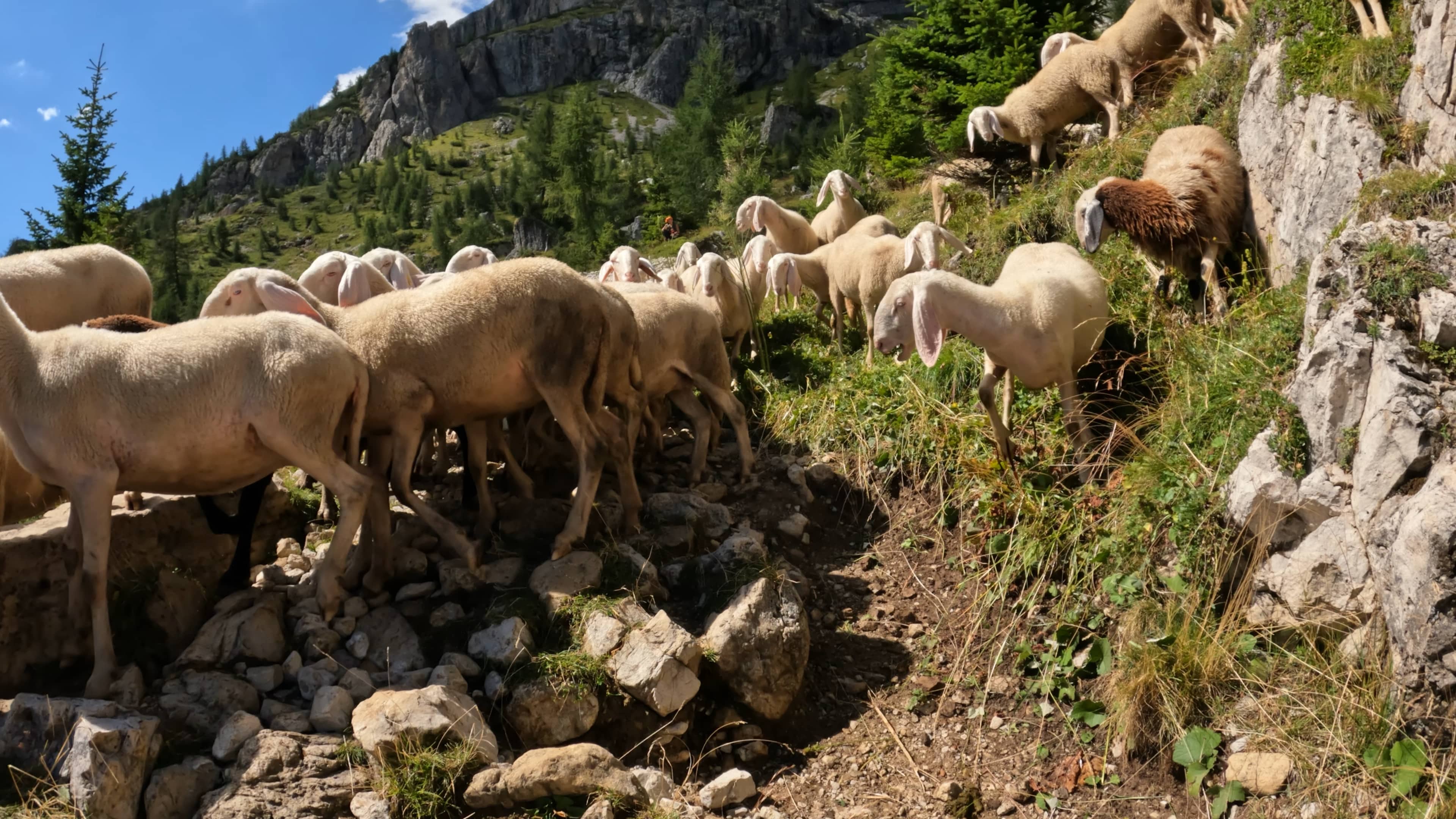 Lago Di Coldai & Monte Coldai Hike Pictures