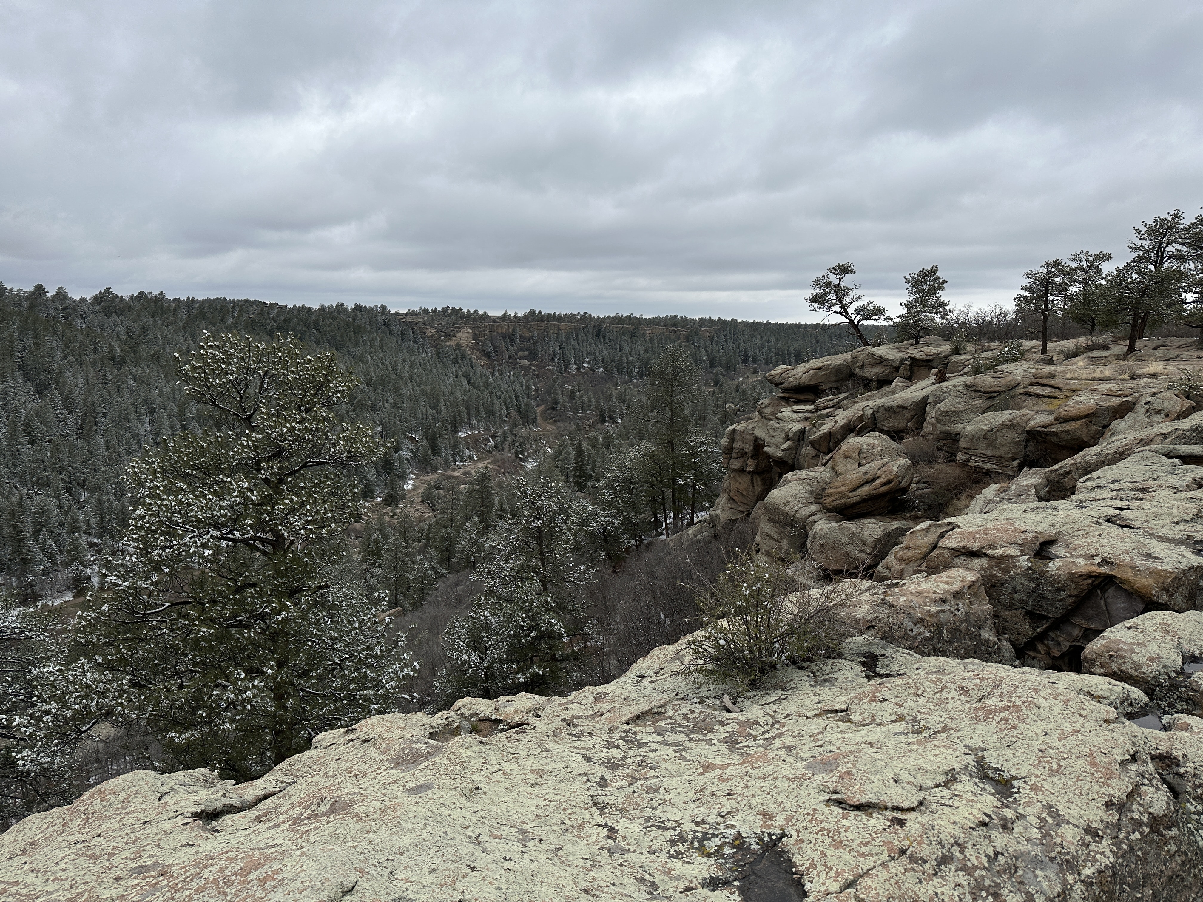 Are Dogs Allowed At Castlewood Canyon State Park