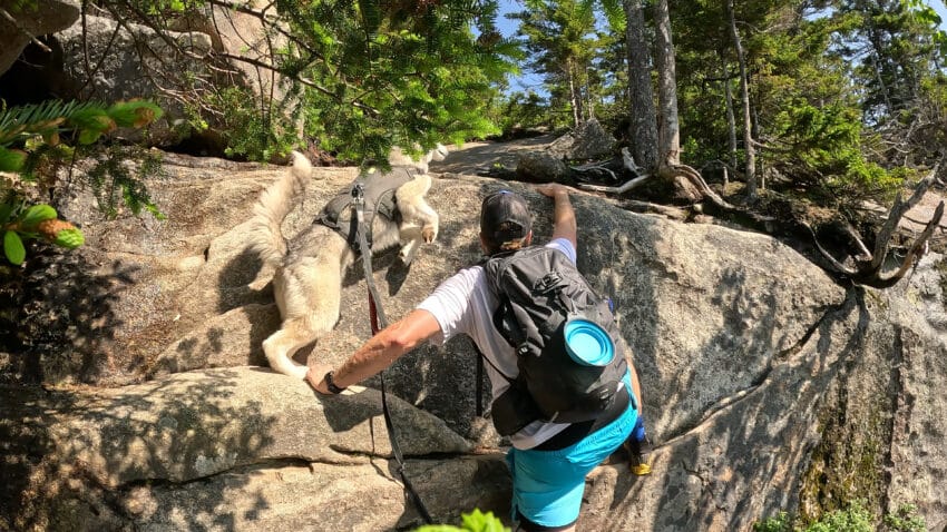 Mount Whiteface Blueberry Ledge Hike Pictures