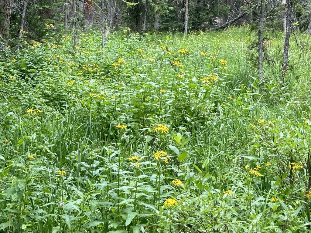 Upper Cataract Lake Hike Pictures