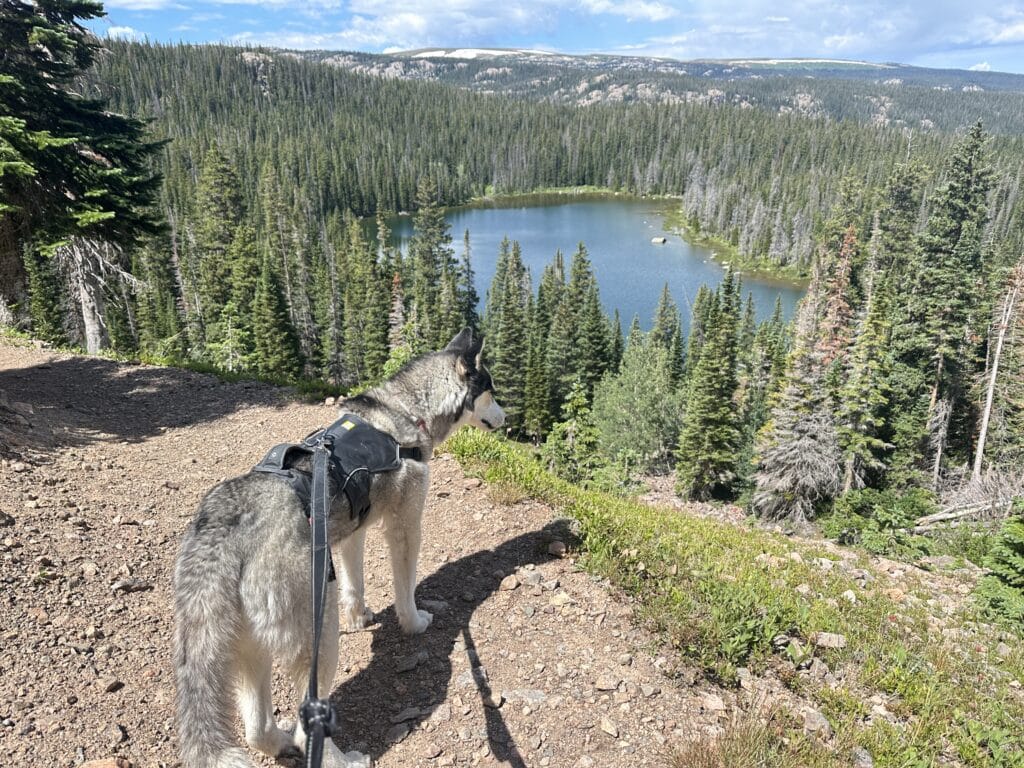 Upper Cataract Lake Hike Pictures