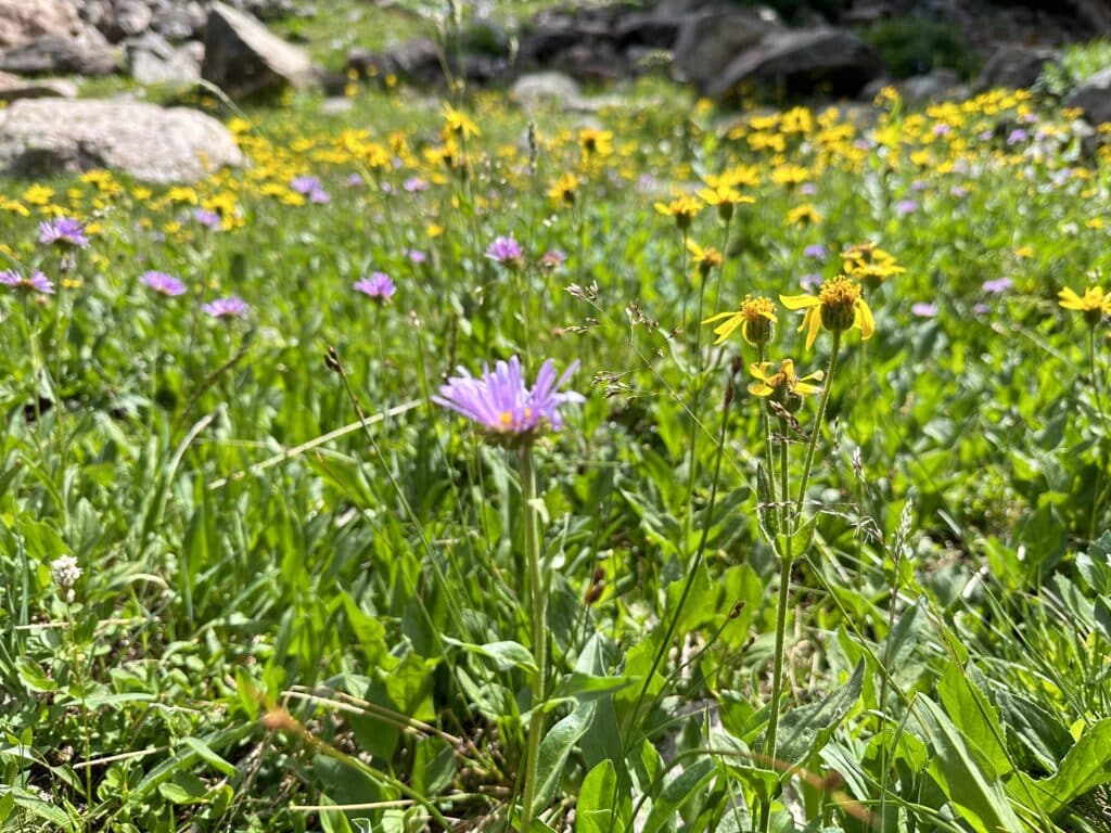 Upper Cataract Lake Hike Pictures