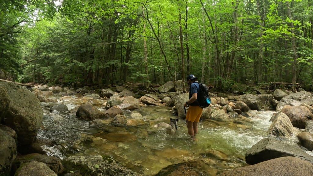 Baldface Circle Trail Pictures