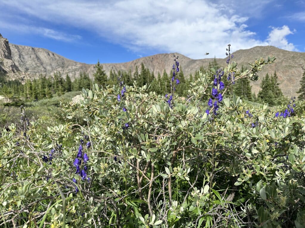 Abyss Lake Hike Pictures