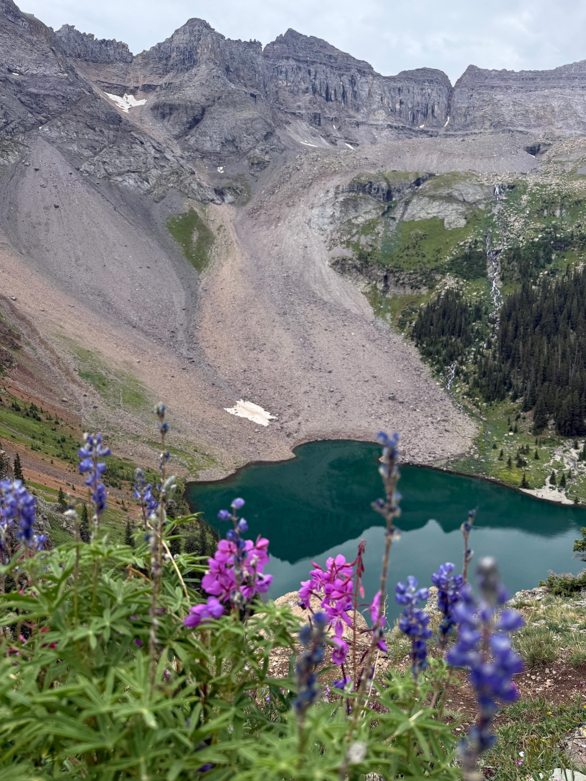 Lower Blue Lake below steep rocky mountain cliffs, framed by purple wildflowers in the foreground on the Blue Lakes Trail in Colorado.