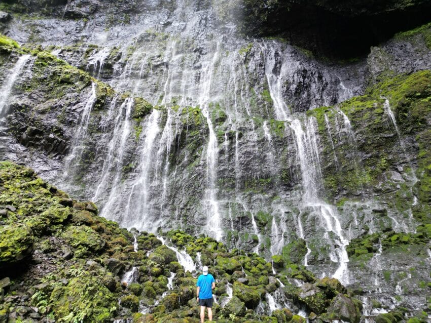 Weeping Wall & Blue Hole Kauai Hike Pictures