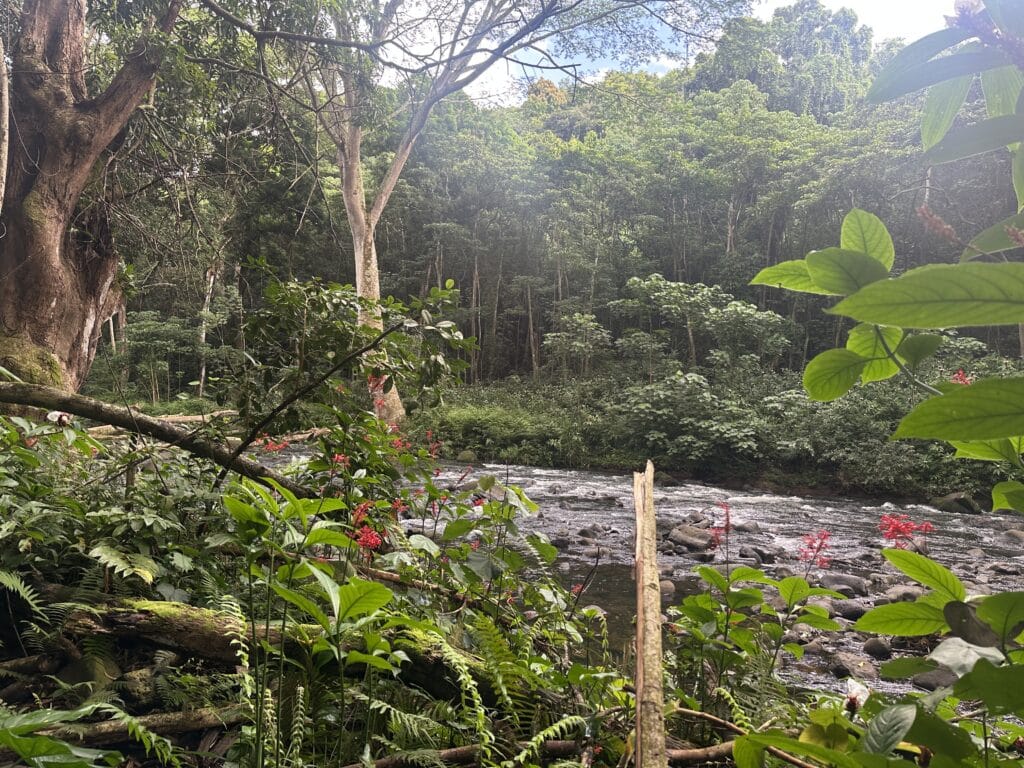 Uluwehi Falls (Secret Falls) Hike Pictures