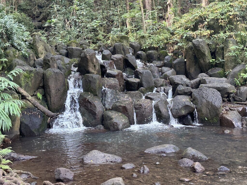 Uluwehi Falls (Secret Falls) Hike Pictures