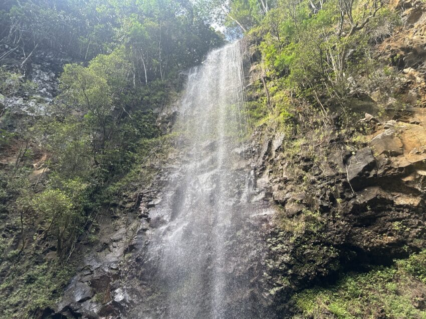 Uluwehi Falls (Secret Falls) Hike Pictures