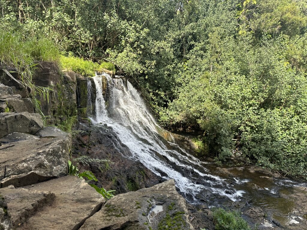 Ho'opi'i Falls Hike Pictures