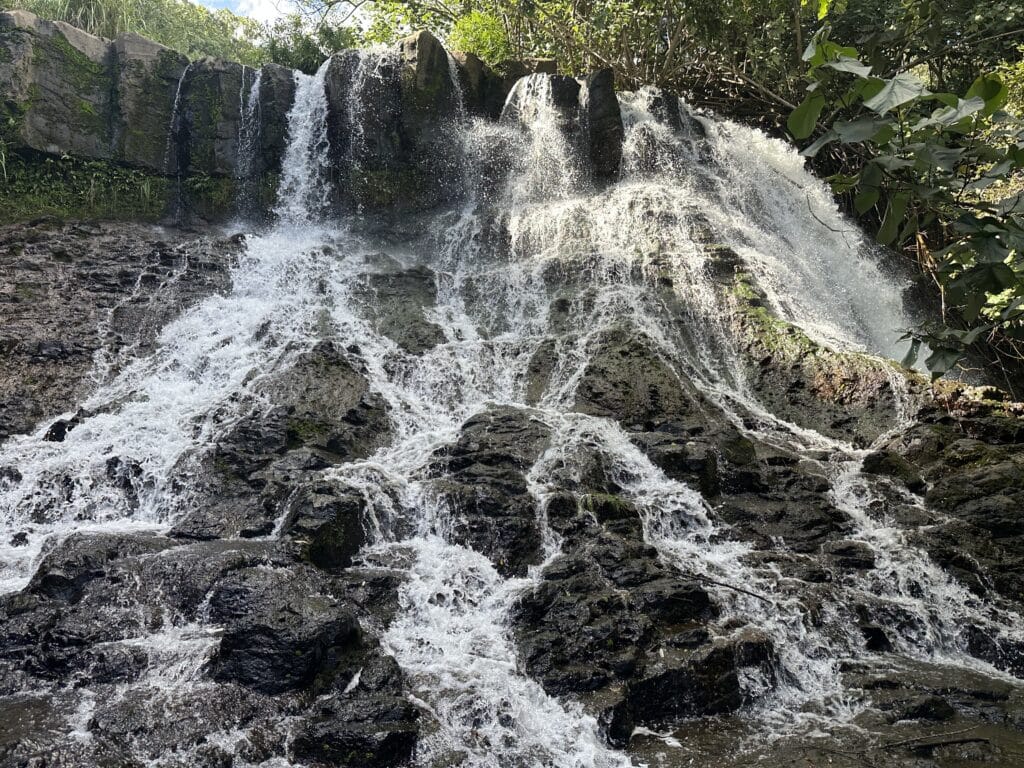 Ho'opi'i Falls Hike Pictures