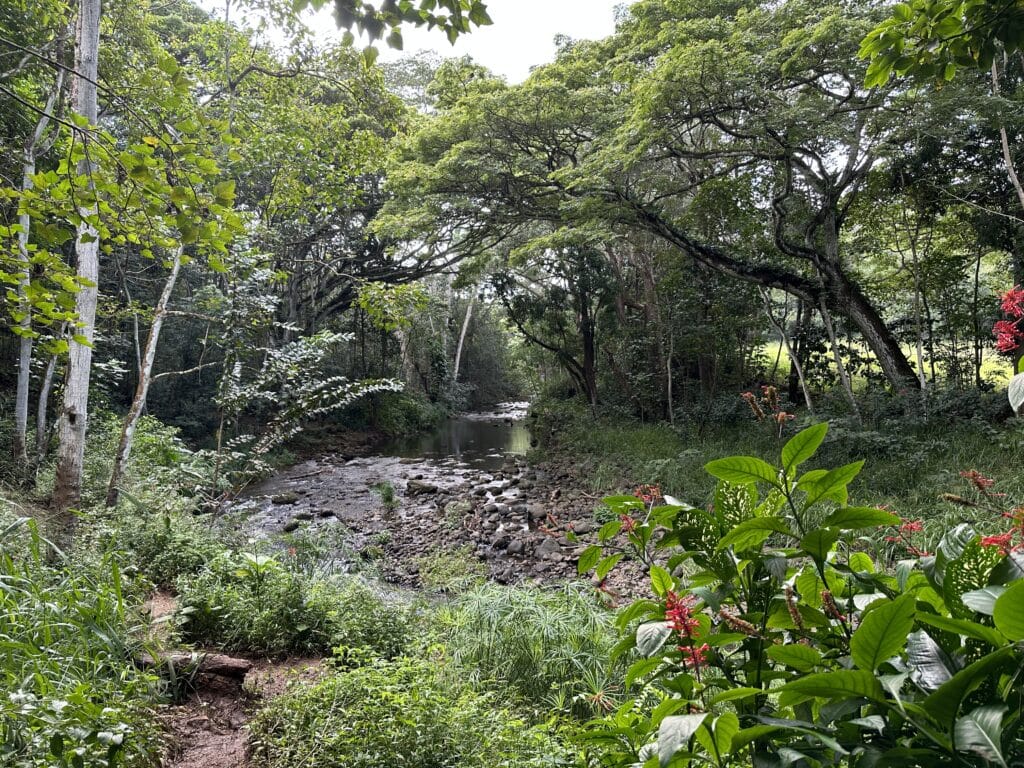 Ho'opi'i Falls Hike Pictures