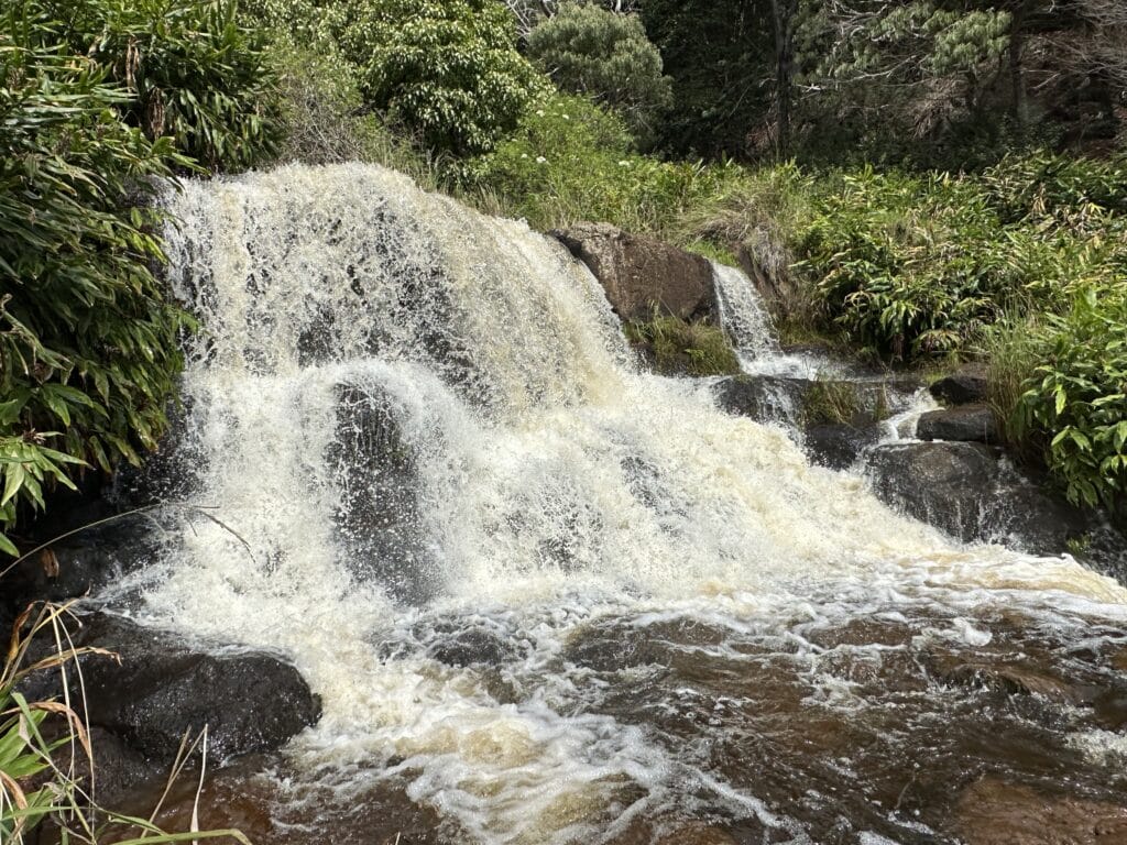 Waimea Canyon Loop Hike Pictures