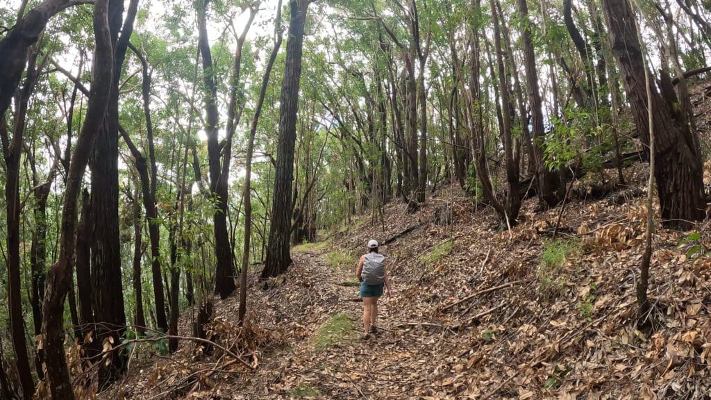 Waimea Canyon Loop Hike Pictures