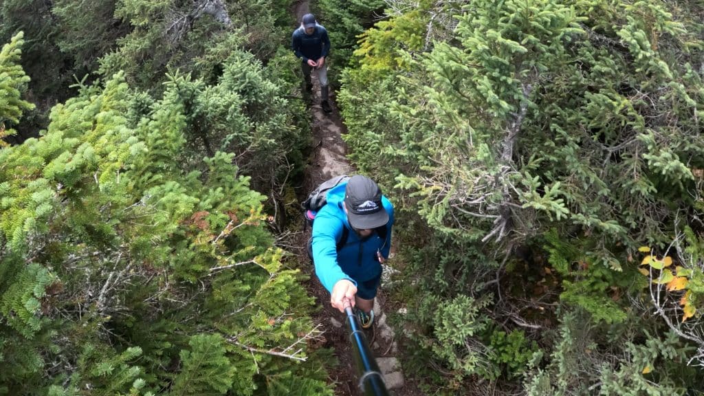 Wildcats to Carters Traverse Pictures