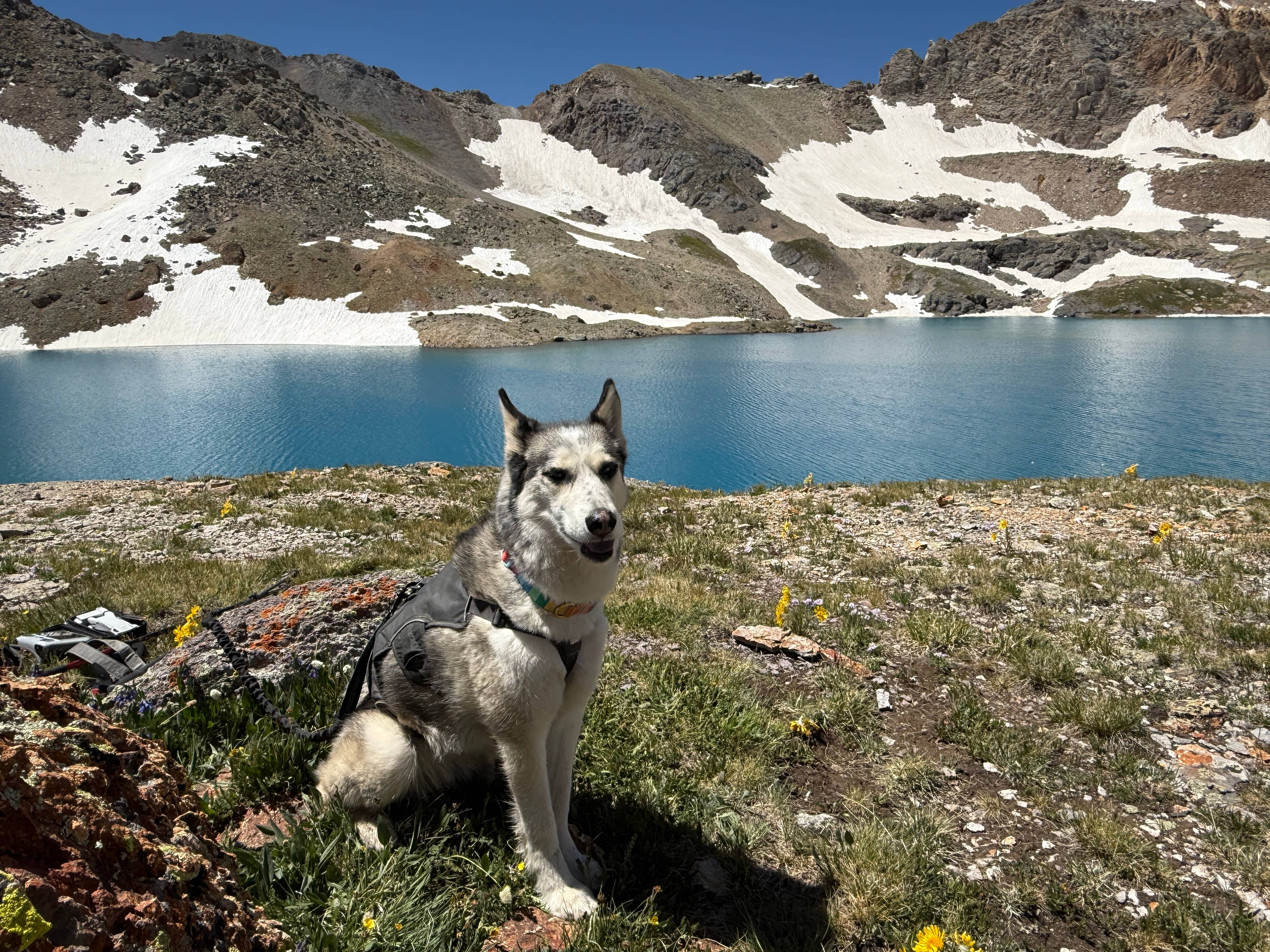 Aria sitting in front of Columbine Lake.