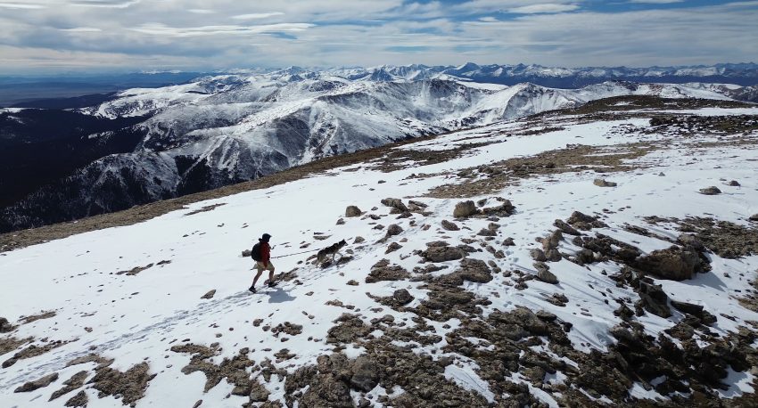 Hiker and dog crossing a snow-covered section of the upper ridge on Square Top Mountain in Colorado.
